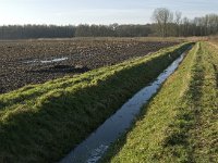 NL, Noord-Brabant, Oirschot, Westelbeersche Broek 5, Saxifraga-Jan van der Straaten