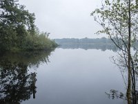 NL, Noord-Brabant, Oisterwijk, Belversven 1, Saxifraga-Willem van Kruijsbergen