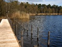 NL, Noord-Brabant, Oisterwijk, Belversven 4, Saxifraga-Marijke Verhagen