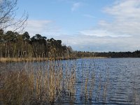 NL, Noord-Brabant, Oisterwijk, Belversven 5, Saxifraga-Marijke Verhagen