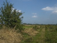 NL, Noord-Brabant, Oisterwijk, De Gement 2, Saxifraga-Jan van der Straaten