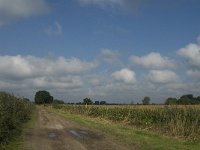 NL, Noord-Brabant, Oisterwijk, Den Opslag 11, Saxifraga-Jan van der Straaten