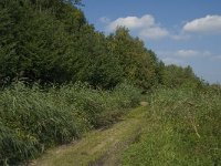 NL, Noord-Brabant, Oisterwijk, Den Opslag 16, Saxifraga-Jan van der Straaten