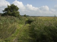 NL, Noord-Brabant, Oisterwijk, Den Opslag 2, Saxifraga-Jan van der Straaten