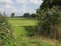 NL, Noord-Brabant, Oisterwijk, Den Opslag 3, Saxifraga-Jan van der Straaten