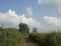 NL, Noord-Brabant, Oisterwijk, Den Opslag 9, Saxifraga-Jan van der Straaten