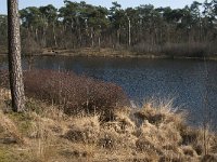 NL, Noord-Brabant, Oisterwijk, Diaconieven 3, Saxifraga-Jan van der Straaten