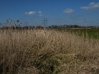 NL, Noord-Brabant, Oisterwijk, Gementsdijk 1, Saxifraga-Jan van der Straaten