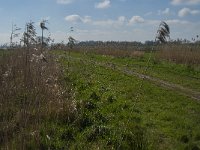 NL, Noord-Brabant, Oisterwijk, Gementsdijk 3, Saxifraga-Jan van der Straaten