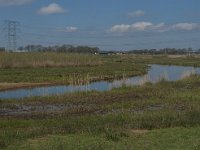 NL, Noord-Brabant, Oisterwijk, Gementsdijk 8, Reusel, Saxifraga-Jan van der Straaten