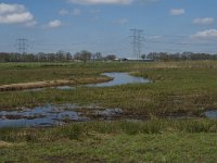 NL, Noord-Brabant, Oisterwijk, Gementsdijk 9, Reusel, Saxifraga-Jan van der Straaten