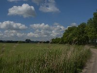 NL, Noord-Brabant, Oisterwijk, Helsbroek 11, Saxifraga-Jan van der Straaten