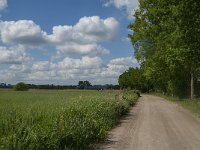 NL, Noord-Brabant, Oisterwijk, Helsbroek 12, Saxifraga-Jan van der Straaten