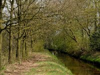 NL, Noord-Brabant, Oisterwijk, Logtsche Heide, Rosep 1, Saxifraga-Marijke Verhagen