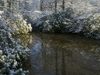 NL, Noord-Brabant, Oisterwijk, Oude Hondsberg 3, Saxifraga-Jan van der Straaten