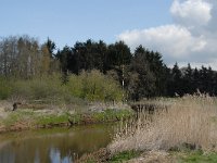 NL, Noord-Brabant, Oisterwijk, Oude Hondsberg 4, Saxifraga-Jan van der Straaten