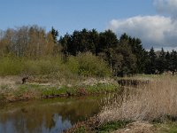 NL, Noord-Brabant, Oisterwijk, Oude Hondsberg 5, Saxifraga-Jan van der Straaten