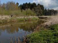 NL, Noord-Brabant, Oisterwijk, Oude Hondsberg 6, Saxifraga-Jan van der Straaten