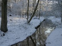 NL, Noord-Brabant, Oisterwijk, Rosep 11, Saxifraga-Jan van der Straaten