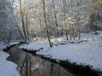 NL, Noord-Brabant, Oisterwijk, Rosep 12, Saxifraga-Jan van der Straaten