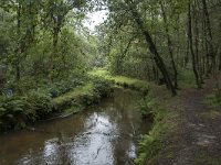 NL, Noord-Brabant, Oisterwijk, Rosep 4, Saxifraga-Willem van Kruijsbergen