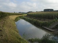 NL, Noord-Brabant, Oisterwijk, Spruitenstroompje , Saxifraga-Jan van der Straaten