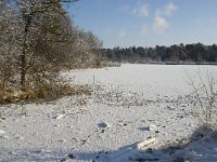 NL, Noord-Brabant, Oisterwijk, Voorste Goorven 12, Saxifraga-Jan van der Straaten