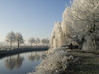 NL, Noord-Brabant, Oisterwijk, Voorste Stroom 2, Saxifraga-Jan van der Straaten