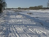 NL, Noord-Brabant, Oisterwijk, Winkelsven 13, Saxifraga-Jan van der Straaten