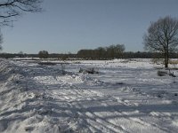 NL, Noord-Brabant, Oisterwijk, Winkelsven 14, Saxifraga-Jan van der Straaten