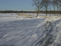 NL, Noord-Brabant, Oisterwijk, Winkelsven 15, Saxifraga-Jan van der Straaten