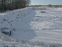 NL, Noord-Brabant, Oisterwijk, Winkelsven 16, Saxifraga-Jan van der Straaten