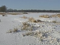 NL, Noord-Brabant, Oisterwijk, Winkelsven 20, Saxifraga-Jan van der Straaten