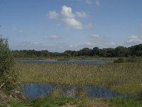 NL, Noord-Brabant, Oisterwijk, Winkelsven 33, Saxifraga-Marijke Verhagen