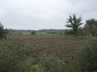 NL, Noord-Brabant, Oisterwijk, Winkelsven 4, Saxifraga-Willem van Kruijsbergen