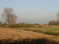 NL, Noord-Brabant, Oss, Batenburg 2, Saxifraga-Hans Boll