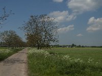 NL, Noord-Brabant, Oss, Haren 1, Saxifraga-Jan van der Straaten