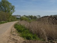 NL, Noord-Brabant, Oss, Hemelrijksche Waard 2, Saxifraga-Jan van der Straaten