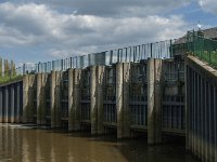 NL, Noord-Brabant, Oss, Hertogswetering 13, Saxifraga-Jan van der Straaten