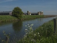 NL, Noord-Brabant, Oss, Hertogswetering 14, Saxifrfaga-Jan van der Straaten