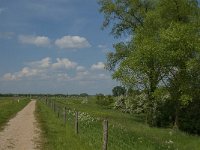 NL, Noord-Brabant, Oss, Keent 9, Saxifraga-Jan van der Straaten