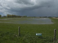 NL, Noord-Brabant, Oss, Marense eendenkooi 10, Saxifraga-Jan van der Straaten