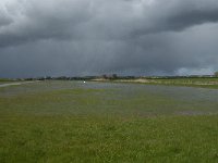 NL, Noord-Brabant, Oss, Marense eendenkooi 11, Saxifraga-Jan van der Straaten