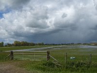 NL, Noord-Brabant, Oss, Marense eendenkooi 5, Saxifraga-Jan van der Straaten