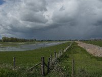 NL, Noord-Brabant, Oss, Marense eendenkooi 6, Saxifraga-Jan van der Straaten