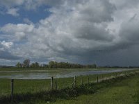 NL, Noord-Brabant, Oss, Marense eendenkooi 8, Saxifraga-Jan van der Straaten