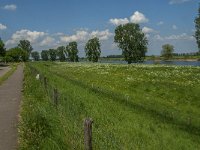 NL, Noord-Brabant, Oss, Middelwaard 2, Saxifraga-Jan van der Straaten