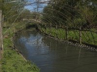 NL, Noord-Brabant, Oss, Osse eendenkooi 10, Saxifraga-Jan van der Straaten