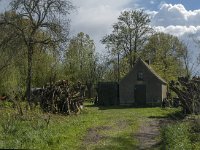 NL, Noord-Brabant, Oss, Osse eendenkooi 4, Saxifraga-Jan van der Straaten