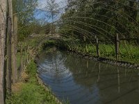 NL, Noord-Brabant, Oss, Osse eendenkooi 8, Saxifraga-Jan van der Straaten